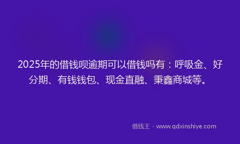 2025年的借钱呗逾期可以借钱吗有：呼吸金、好分期、有钱钱包、现金直融、秉鑫商城等。