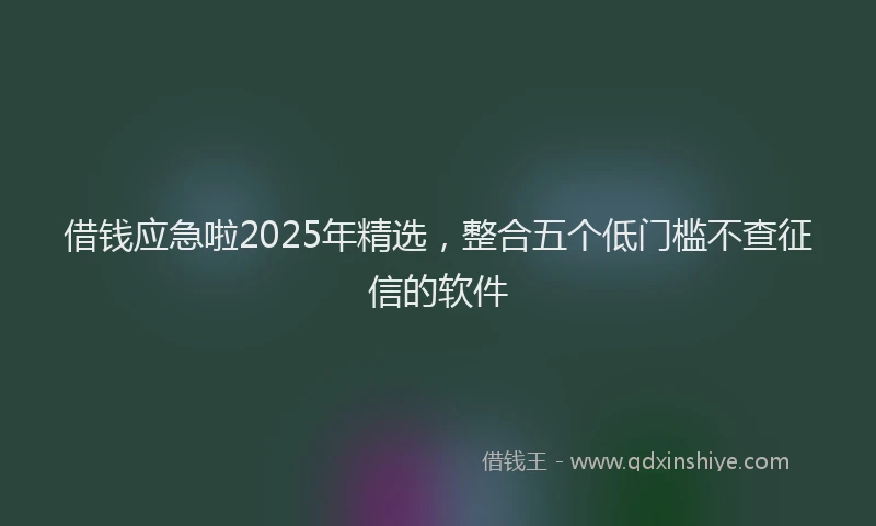 借钱应急啦2025年精选，整合五个低门槛不查征信的软件