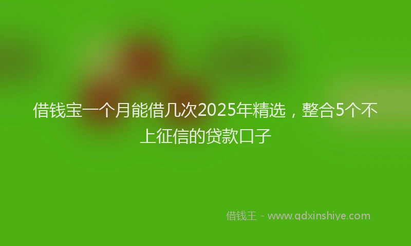 借钱宝一个月能借几次2025年精选，整合5个不上征信的贷款口子
