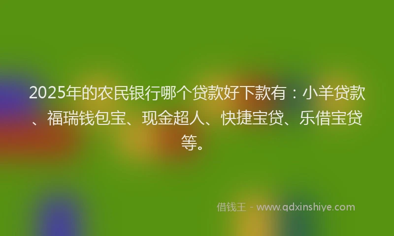 2025年的农民银行哪个贷款好下款有：小羊贷款、福瑞钱包宝、现金超人、快捷宝贷、乐借宝贷等。