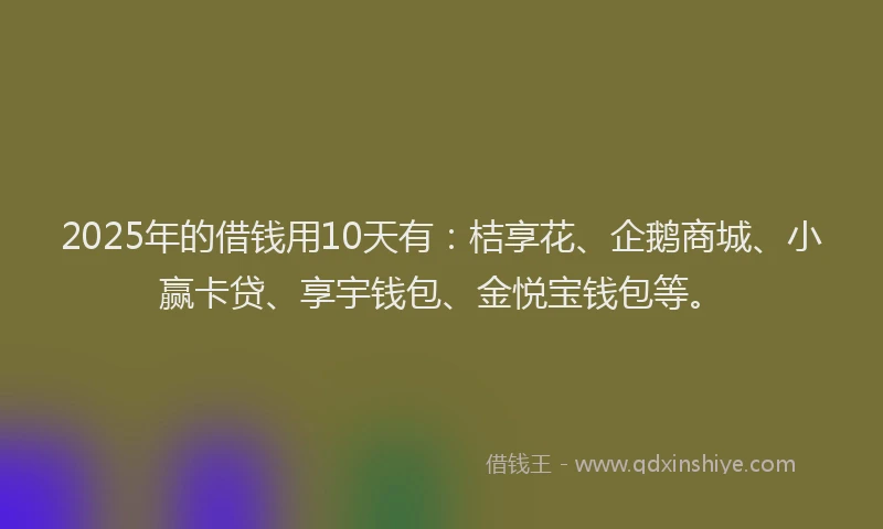 2025年的借钱用10天有：桔享花、企鹅商城、小赢卡贷、享宇钱包、金悦宝钱包等。