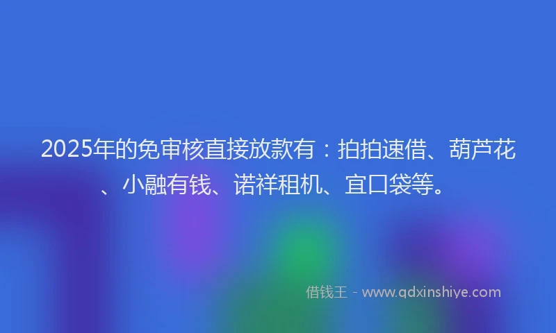 2025年的免审核直接放款有：拍拍速借、葫芦花、小融有钱、诺祥租机、宜口袋等。
