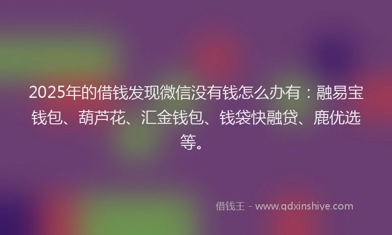 2025年的借钱发现微信没有钱怎么办有：融易宝钱包、葫芦花、汇金钱包、钱袋快融贷、鹿优选等。