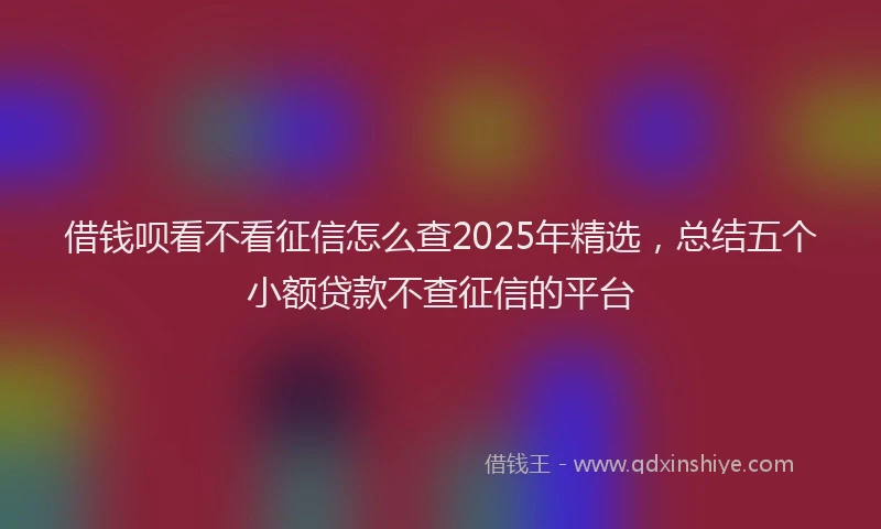 借钱呗看不看征信怎么查2025年精选，总结五个小额贷款不查征信的平台