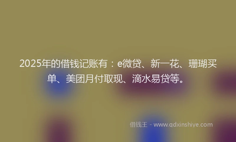 2025年的借钱记账有：e微贷、新一花、珊瑚买单、美团月付取现、滴水易贷等。