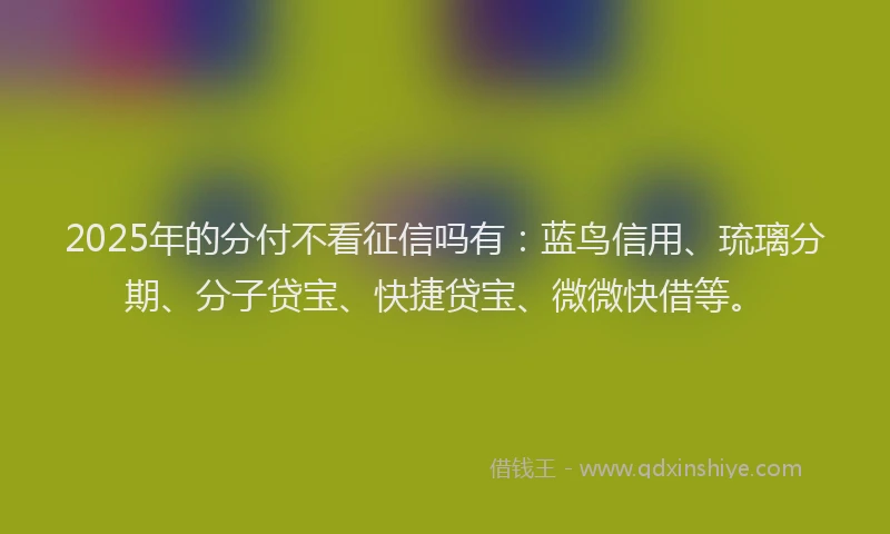 2025年的分付不看征信吗有：蓝鸟信用、琉璃分期、分子贷宝、快捷贷宝、微微快借等。