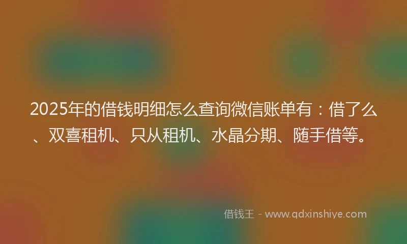 2025年的借钱明细怎么查询微信账单有：借了么、双喜租机、只从租机、水晶分期、随手借等。