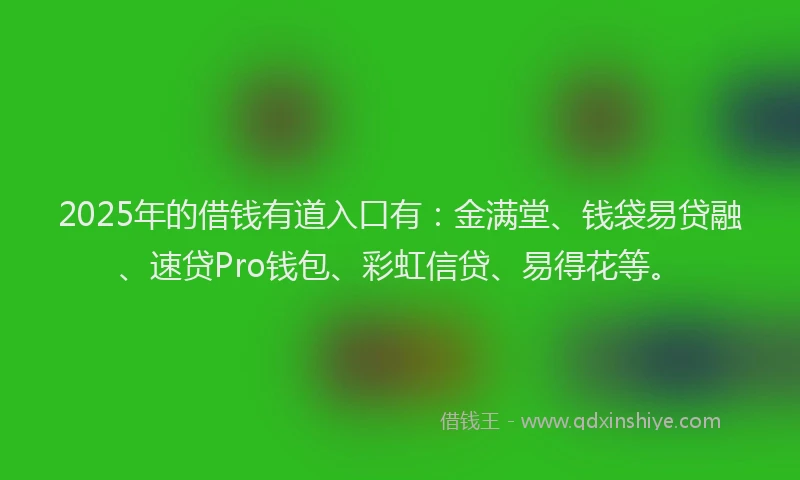 2025年的借钱有道入口有：金满堂、钱袋易贷融、速贷Pro钱包、彩虹信贷、易得花等。