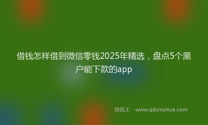 借钱怎样借到微信零钱2025年精选，盘点5个黑户能下款的app
