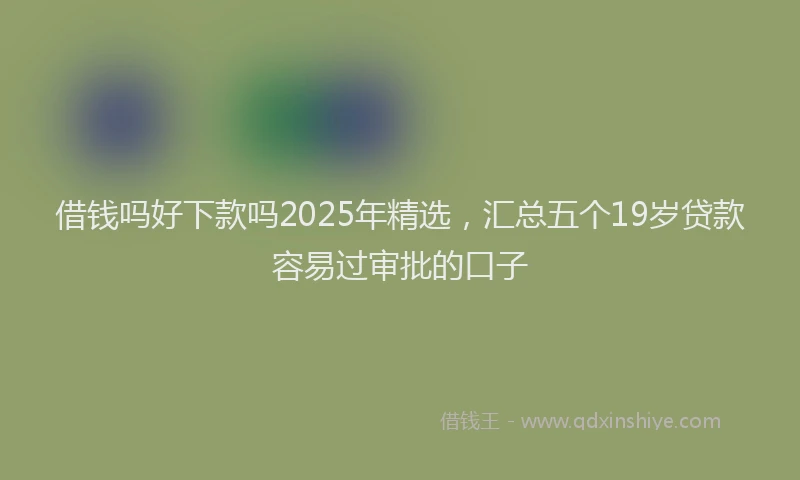 借钱吗好下款吗2025年精选，汇总五个19岁贷款容易过审批的口子