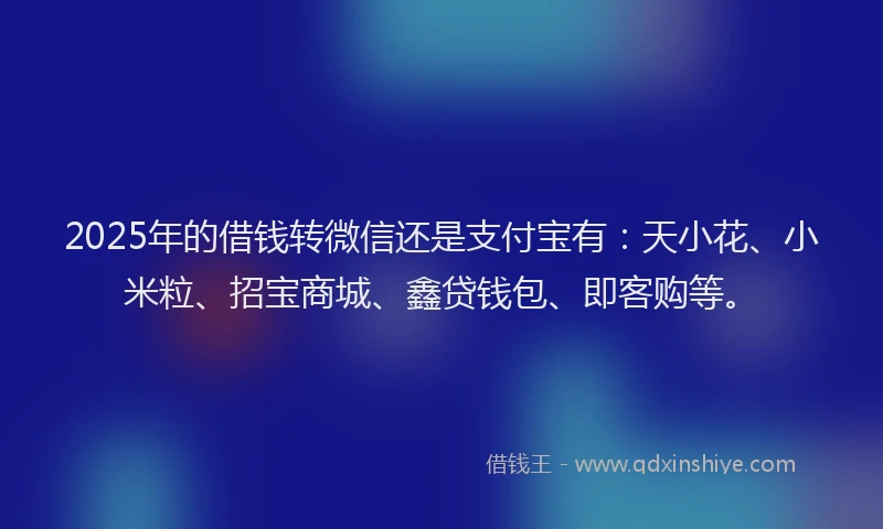 2025年的借钱转微信还是支付宝有：天小花、小米粒、招宝商城、鑫贷钱包、即客购等。