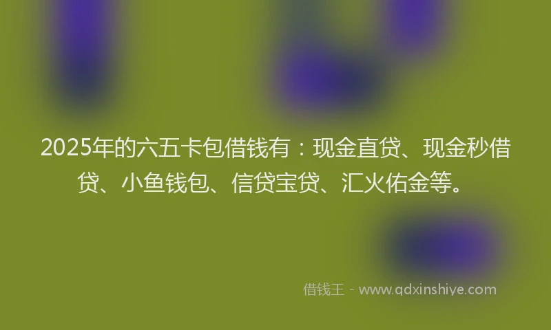 2025年的六五卡包借钱有：现金直贷、现金秒借贷、小鱼钱包、信贷宝贷、汇火佑金等。