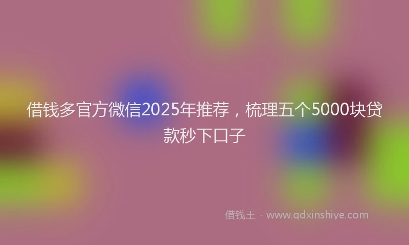 借钱多官方微信2025年推荐，梳理五个5000块贷款秒下口子