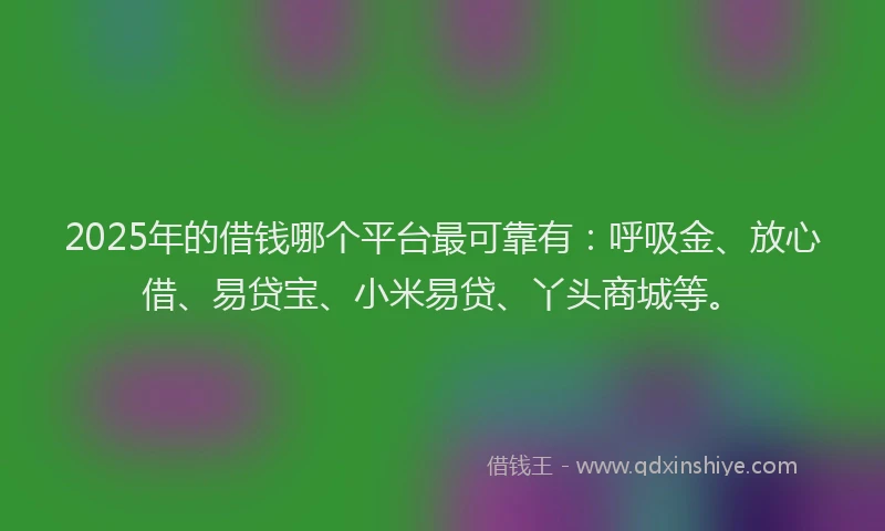 2025年的借钱哪个平台最可靠有：呼吸金、放心借、易贷宝、小米易贷、丫头商城等。