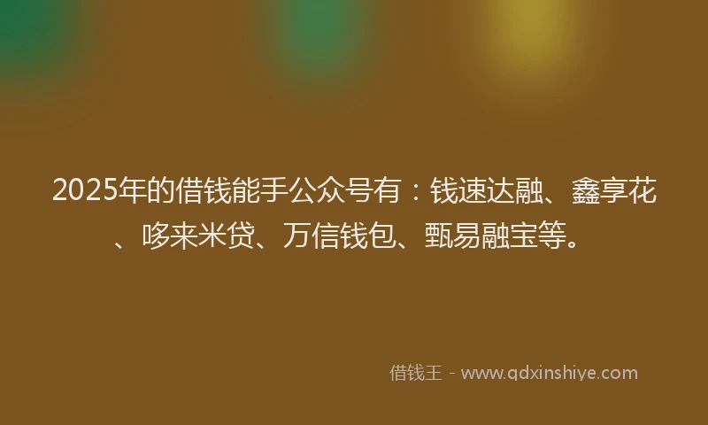 2025年的借钱能手公众号有：钱速达融、鑫享花、哆来米贷、万信钱包、甄易融宝等。