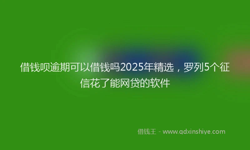 借钱呗逾期可以借钱吗2025年精选，罗列5个征信花了能网贷的软件
