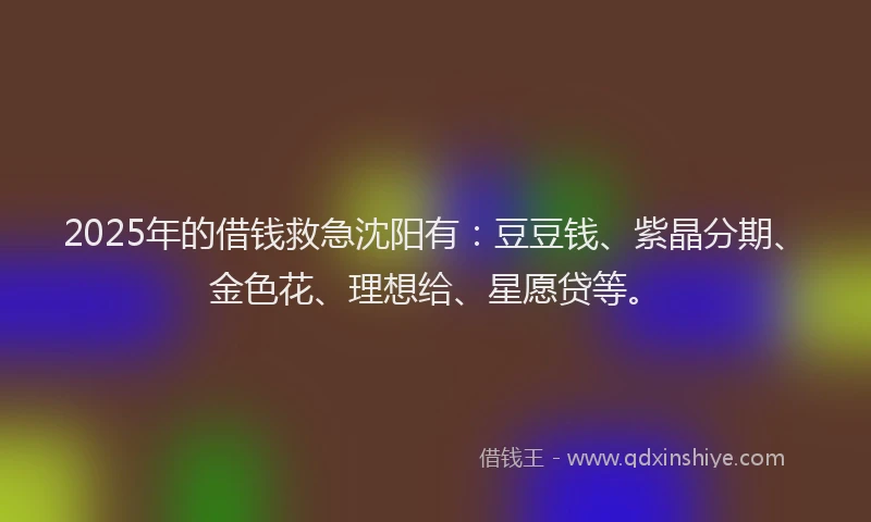 2025年的借钱救急沈阳有：豆豆钱、紫晶分期、金色花、理想给、星愿贷等。