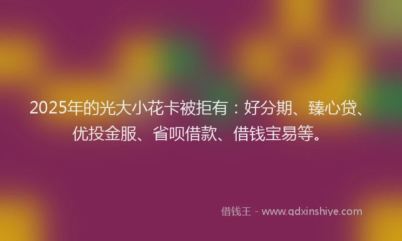 2025年的光大小花卡被拒有：好分期、臻心贷、优投金服、省呗借款、借钱宝易等。