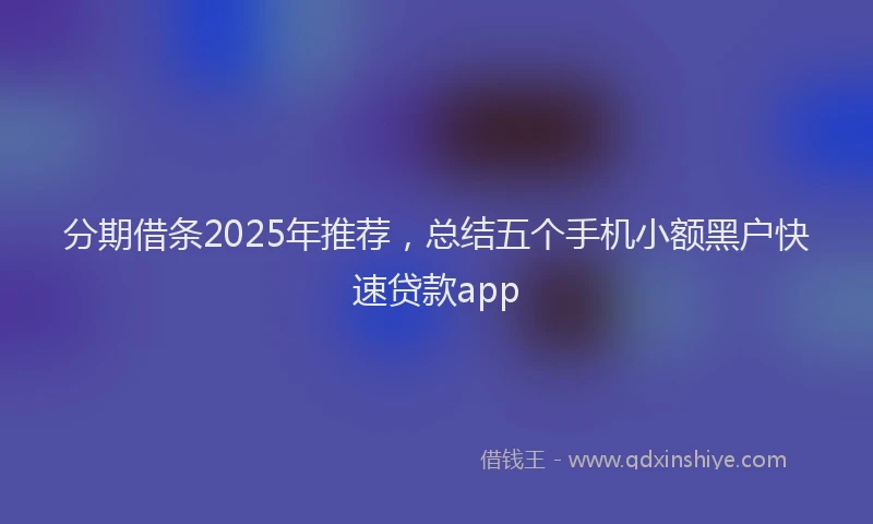 分期借条2025年推荐，总结五个手机小额黑户快速贷款app
