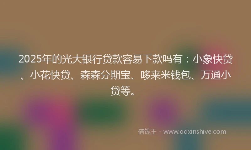 2025年的光大银行贷款容易下款吗有：小象快贷、小花快贷、森森分期宝、哆来米钱包、万通小贷等。