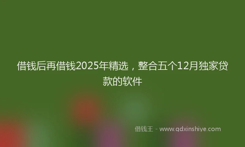 借钱后再借钱2025年精选，整合五个12月独家贷款的软件