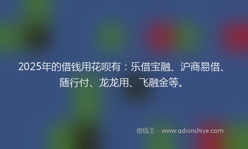 2025年的借钱用花呗有：乐借宝融、沪商易借、随行付、龙龙用、飞融金等。