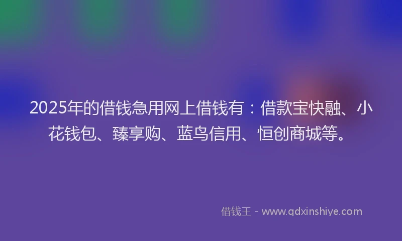 2025年的借钱急用网上借钱有：借款宝快融、小花钱包、臻享购、蓝鸟信用、恒创商城等。