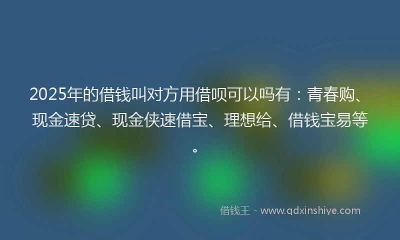 2025年的借钱叫对方用借呗可以吗有：青春购、现金速贷、现金侠速借宝、理想给、借钱宝易等。