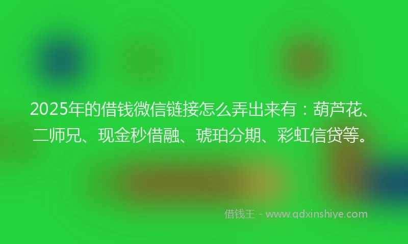 2025年的借钱微信链接怎么弄出来有：葫芦花、二师兄、现金秒借融、琥珀分期、彩虹信贷等。