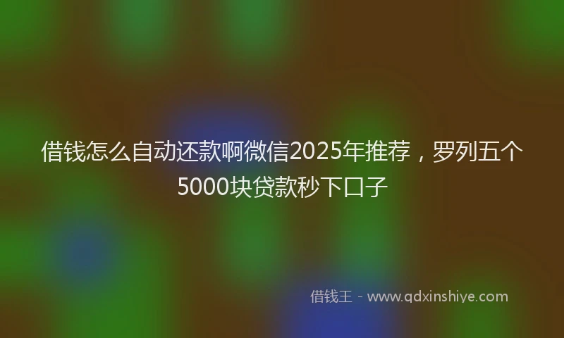 借钱怎么自动还款啊微信2025年推荐，罗列五个5000块贷款秒下口子