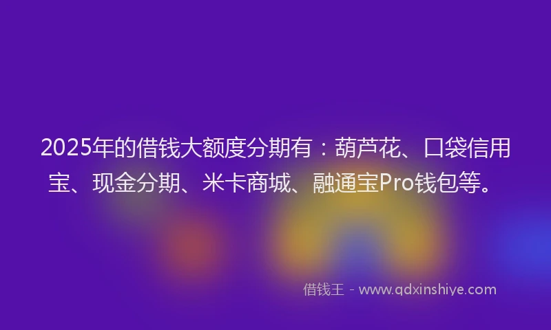 2025年的借钱大额度分期有：葫芦花、口袋信用宝、现金分期、米卡商城、融通宝Pro钱包等。