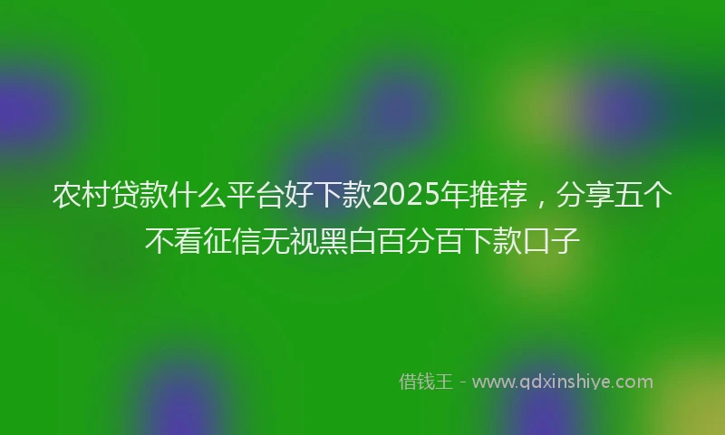 农村贷款什么平台好下款2025年推荐，分享五个不看征信无视黑白百分百下款口子