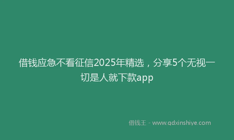 借钱应急不看征信2025年精选，分享5个无视一切是人就下款app