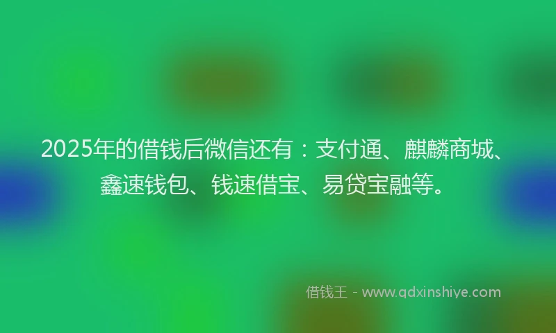 2025年的借钱后微信还有：支付通、麒麟商城、鑫速钱包、钱速借宝、易贷宝融等。