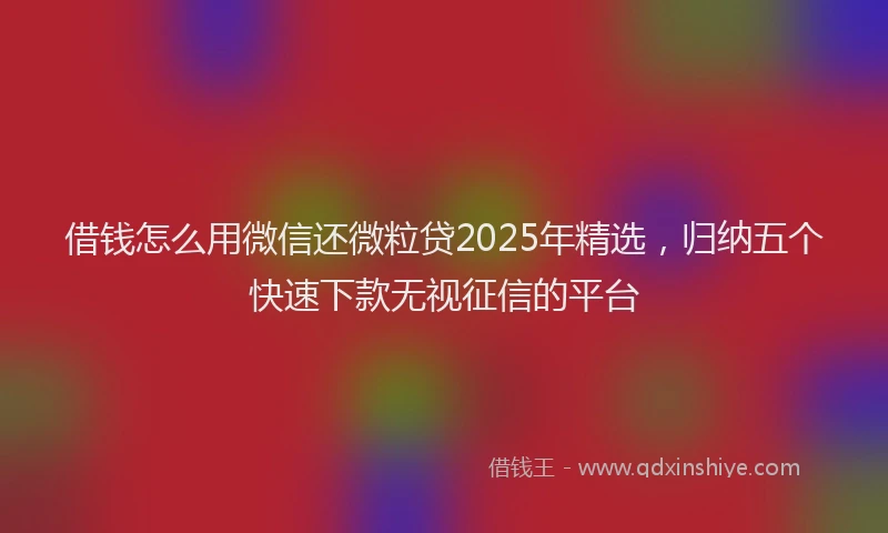 借钱怎么用微信还微粒贷2025年精选，归纳五个快速下款无视征信的平台