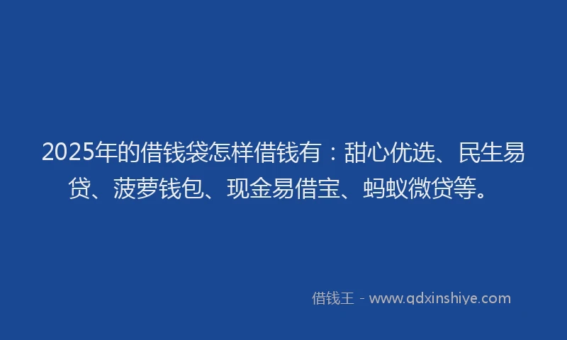 2025年的借钱袋怎样借钱有：甜心优选、民生易贷、菠萝钱包、现金易借宝、蚂蚁微贷等。