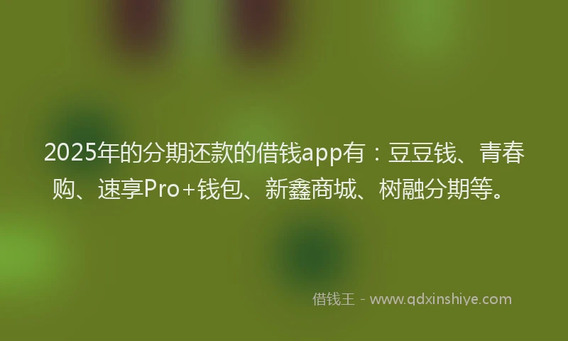 2025年的分期还款的借钱app有：豆豆钱、青春购、速享Pro+钱包、新鑫商城、树融分期等。
