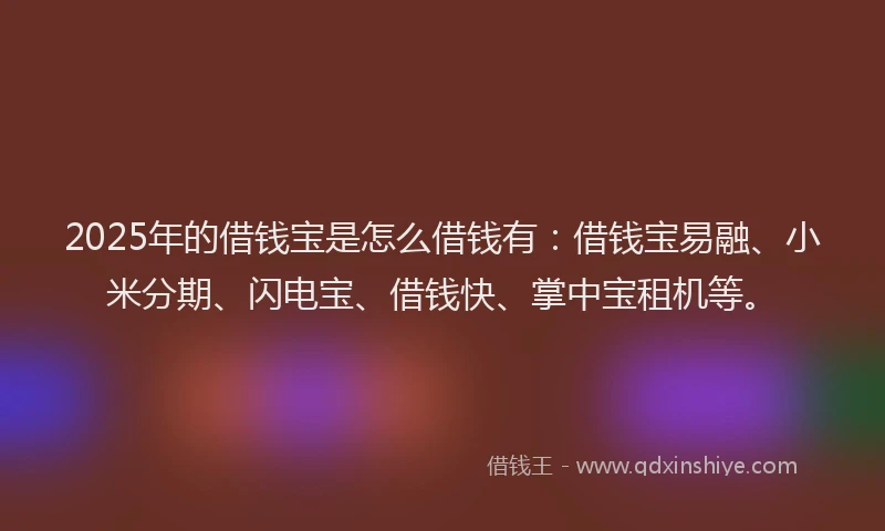 2025年的借钱宝是怎么借钱有：借钱宝易融、小米分期、闪电宝、借钱快、掌中宝租机等。