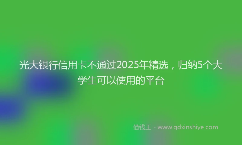 光大银行信用卡不通过2025年精选，归纳5个大学生可以使用的平台