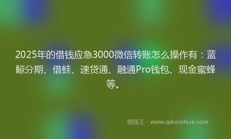 2025年的借钱应急3000微信转账怎么操作有：蓝鲸分期、借蛙、速贷通、融通Pro钱包、现金蜜蜂等。