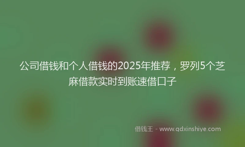 公司借钱和个人借钱的2025年推荐，罗列5个芝麻借款实时到账速借口子