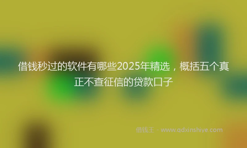 借钱秒过的软件有哪些2025年精选，概括五个真正不查征信的贷款口子
