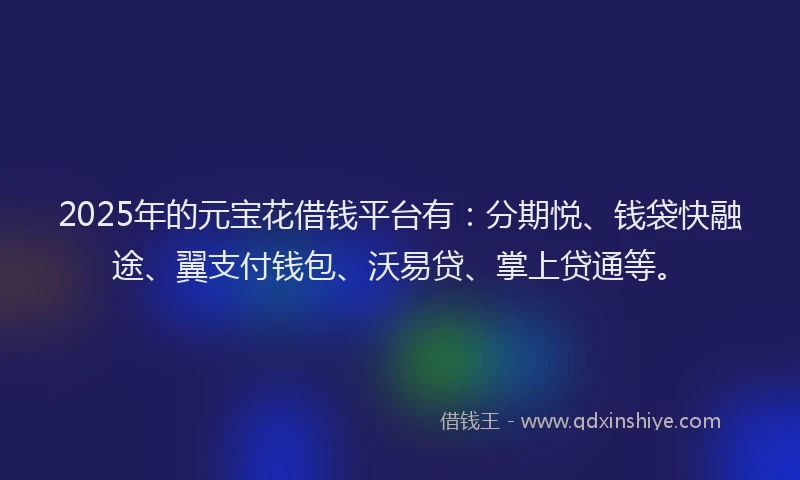 2025年的元宝花借钱平台有：分期悦、钱袋快融途、翼支付钱包、沃易贷、掌上贷通等。