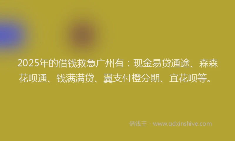 2025年的借钱救急广州有：现金易贷通途、森森花呗通、钱满满贷、翼支付橙分期、宜花呗等。