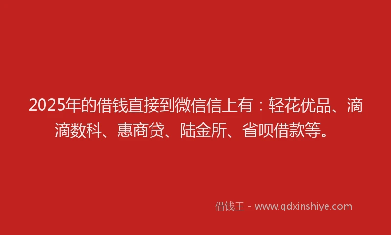 2025年的借钱直接到微信信上有：轻花优品、滴滴数科、惠商贷、陆金所、省呗借款等。