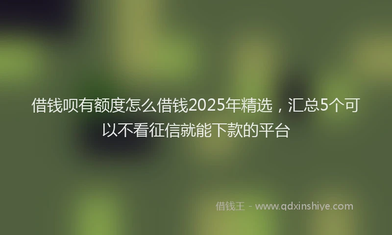 借钱呗有额度怎么借钱2025年精选，汇总5个可以不看征信就能下款的平台