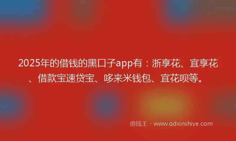 2025年的借钱的黑口子app有：浙享花、宜享花、借款宝速贷宝、哆来米钱包、宜花呗等。