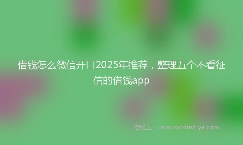 借钱怎么微信开口2025年推荐，整理五个不看征信的借钱app