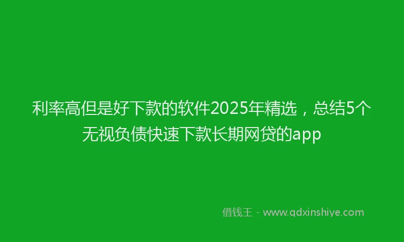 利率高但是好下款的软件2025年精选，总结5个无视负债快速下款长期网贷的app