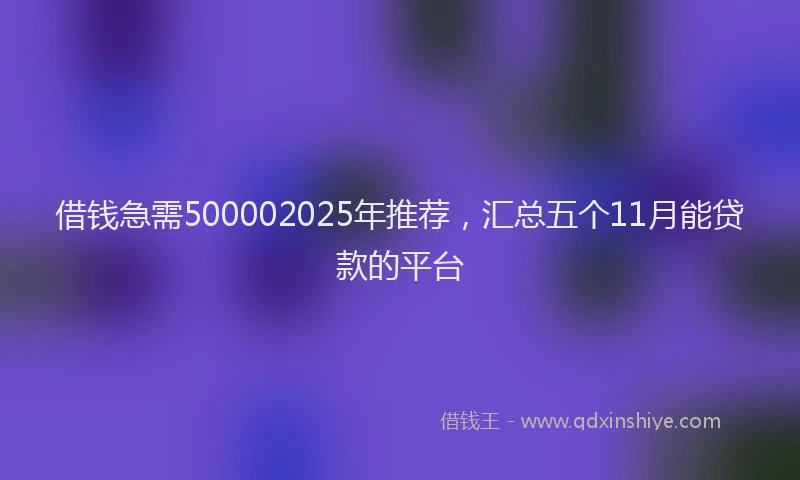 借钱急需500002025年推荐，汇总五个11月能贷款的平台